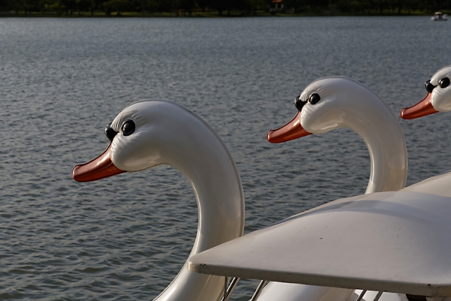 Suan Luang-JUN14-090